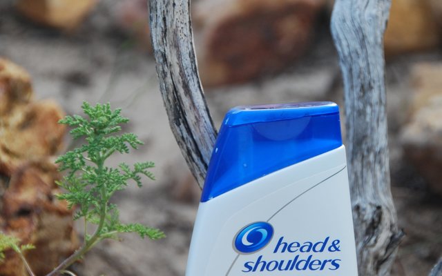 “Kop-en-Skouers” deur Yvonne Joubert 